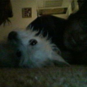 Meet your Posher, Kathy